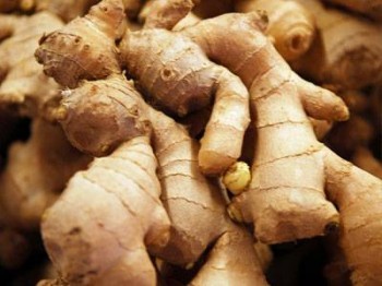 В Каком Магазине Можно Купить Имбирь В Каком Магазине Можно Купить Имбирь