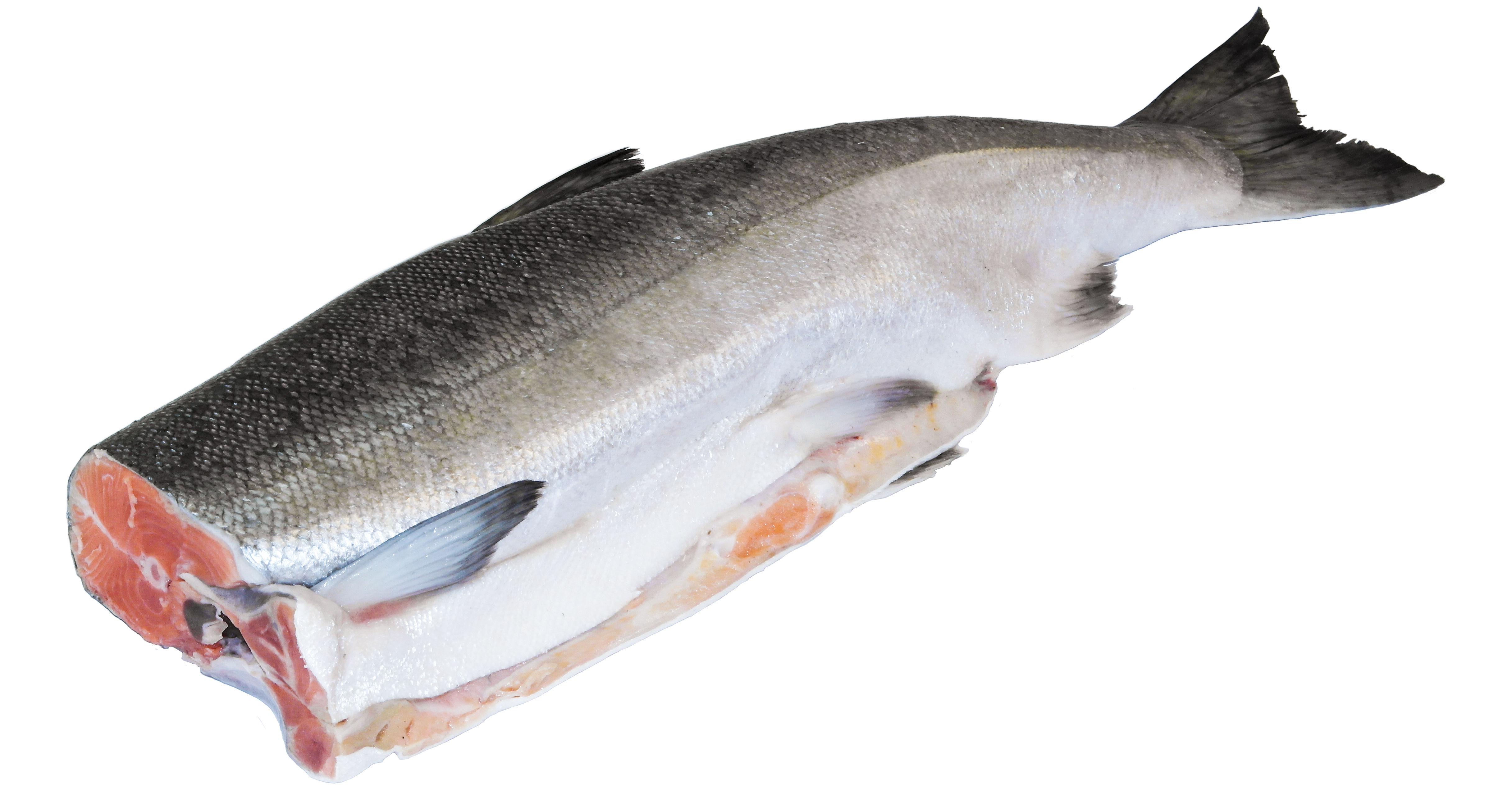 1 22 рыба. Кижуч Тихоокеанский лосось. Нерка ПБГ свежемороженая. Кижуч рыба 3кг. Кета рыба замороженная.