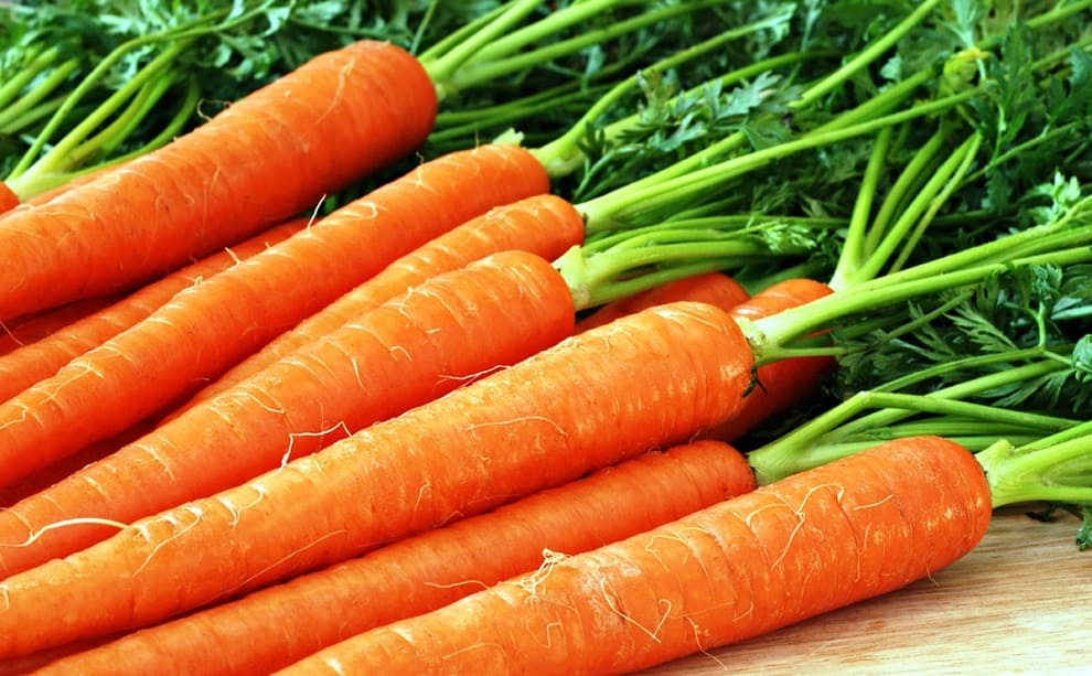 Купить морковь в Москве оптом и в розницу