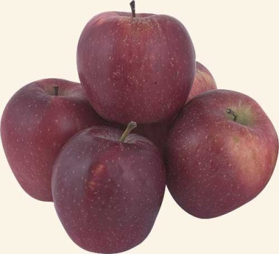 Яблоки Ред Чиф свежие