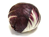 Салат Радичио свежий Россия