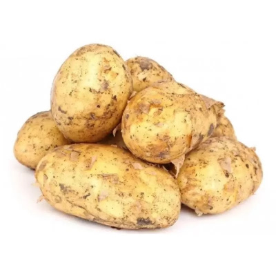 Картофель свежий молодой