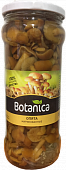 Грибы Botanica Опята маринованные 530г