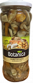 Грибы Botanica ассорти маринованное 530г