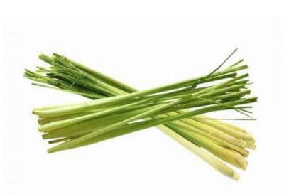 Лимонная трава (Lemon grass)