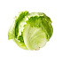Салат Айсберг свежий